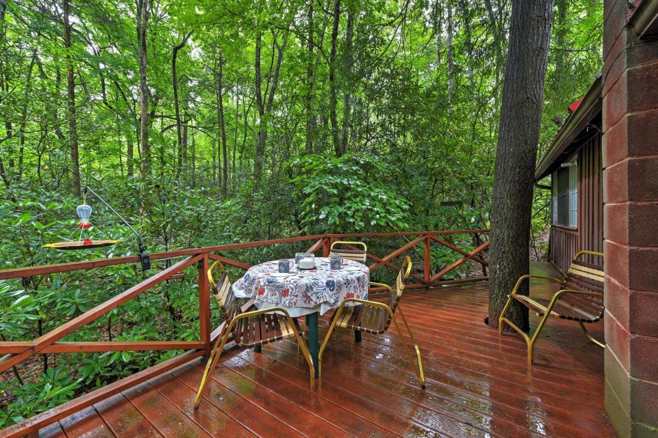 Serene Creekside Cottage Near Asheville Fire Pit Candler 外观 照片