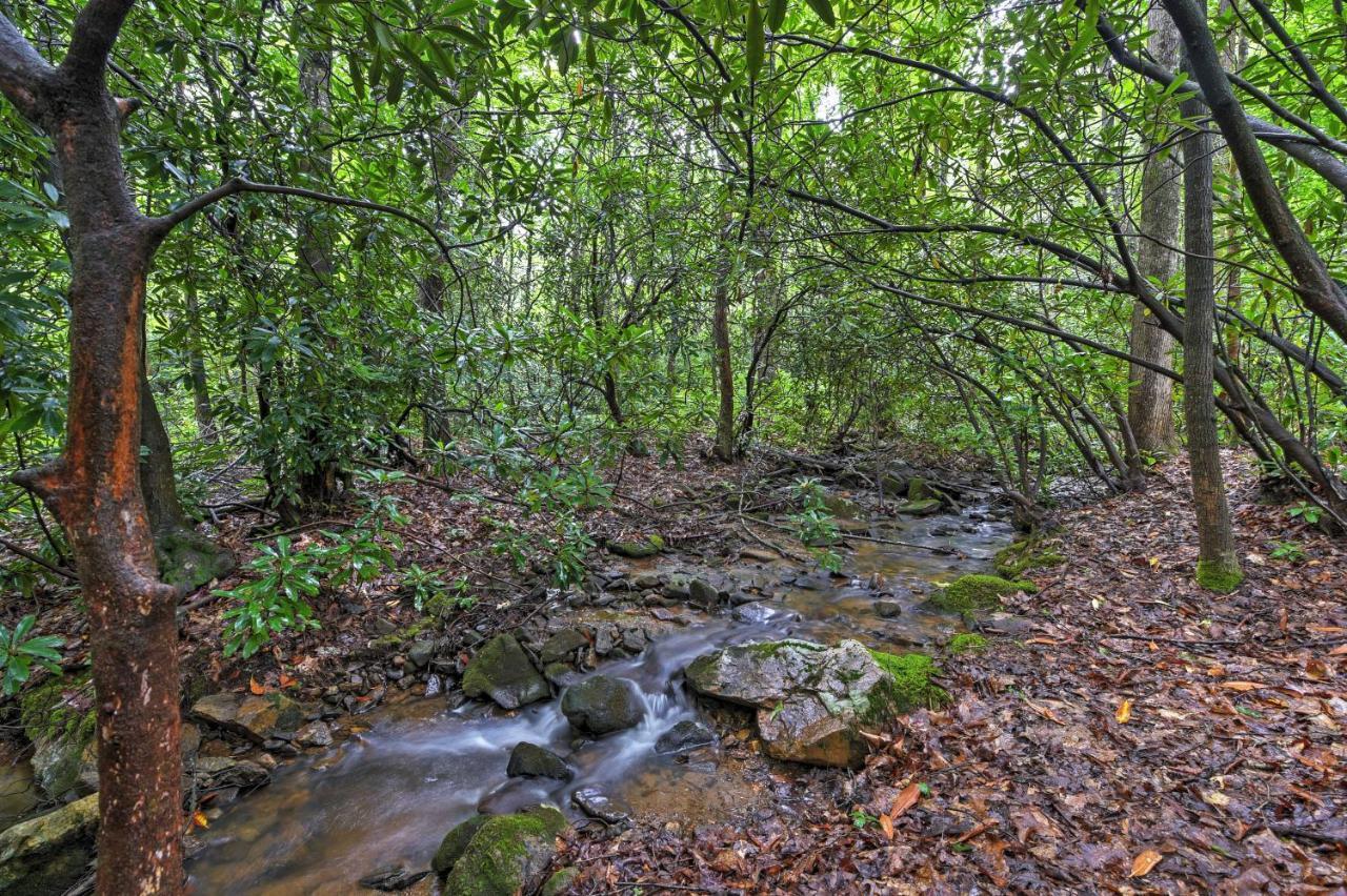 Serene Creekside Cottage Near Asheville Fire Pit Candler 外观 照片